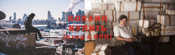 ПСИЛОЦИБИНОВЫЕ ГРИБЫ Строитель