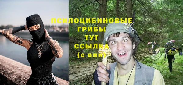 винт Струнино