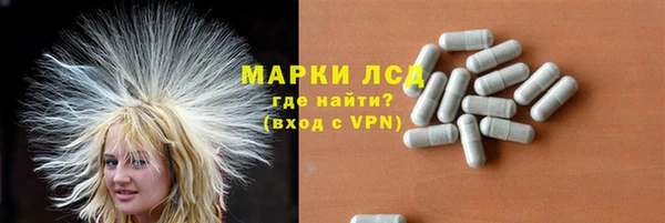 ПСИЛОЦИБИНОВЫЕ ГРИБЫ Строитель