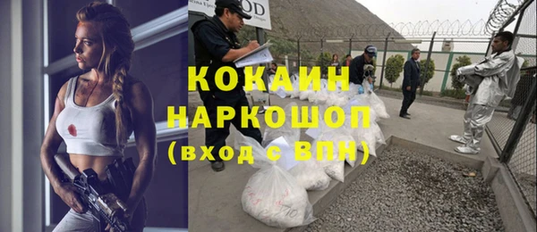 ПСИЛОЦИБИНОВЫЕ ГРИБЫ Строитель